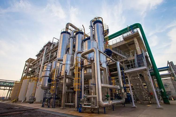 1729580052163873.jpeg d0866a2f-a4be-495b-ac3e-be23fca86c68.jpeg